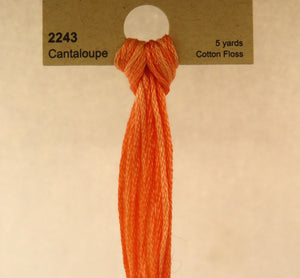 Weeks Dye Works Floss 2200 - 6850