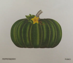 Green Pumpkin PUM-03